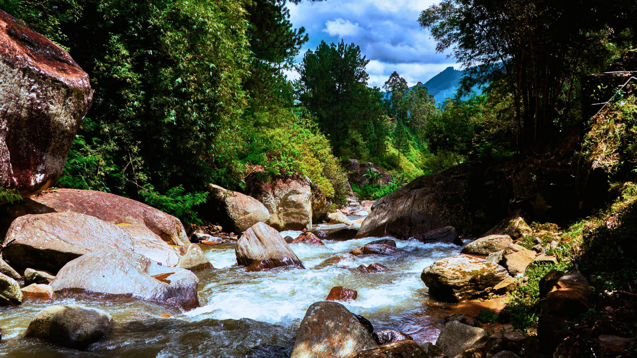 Why Ramboda Water Villa Is Redefining Hill-Country Hospitality in Sri Lanka